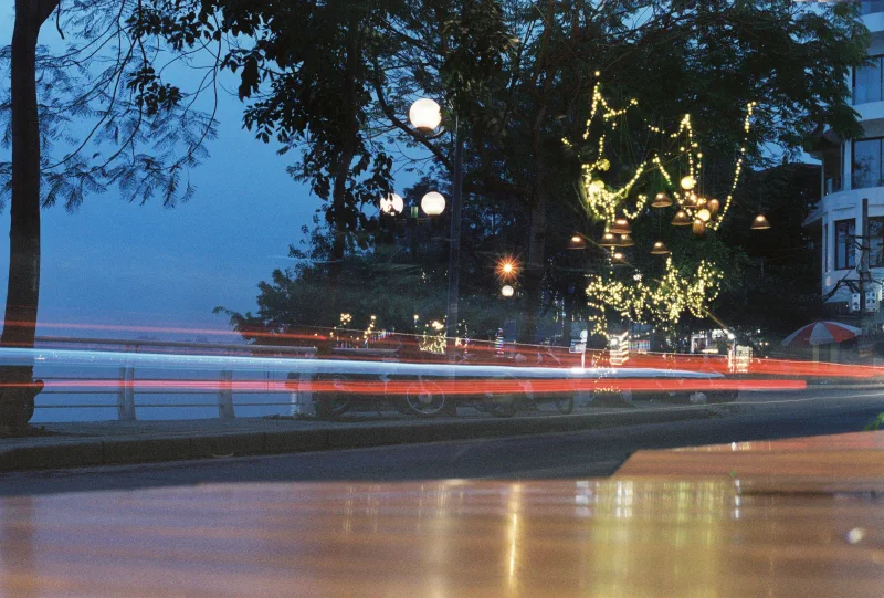 Red and white traffic trails cross a blue evening road beneath trees wrapped in lights